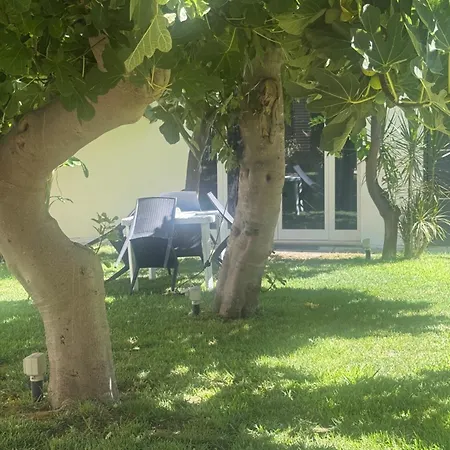 Percebes Exclusive 3*